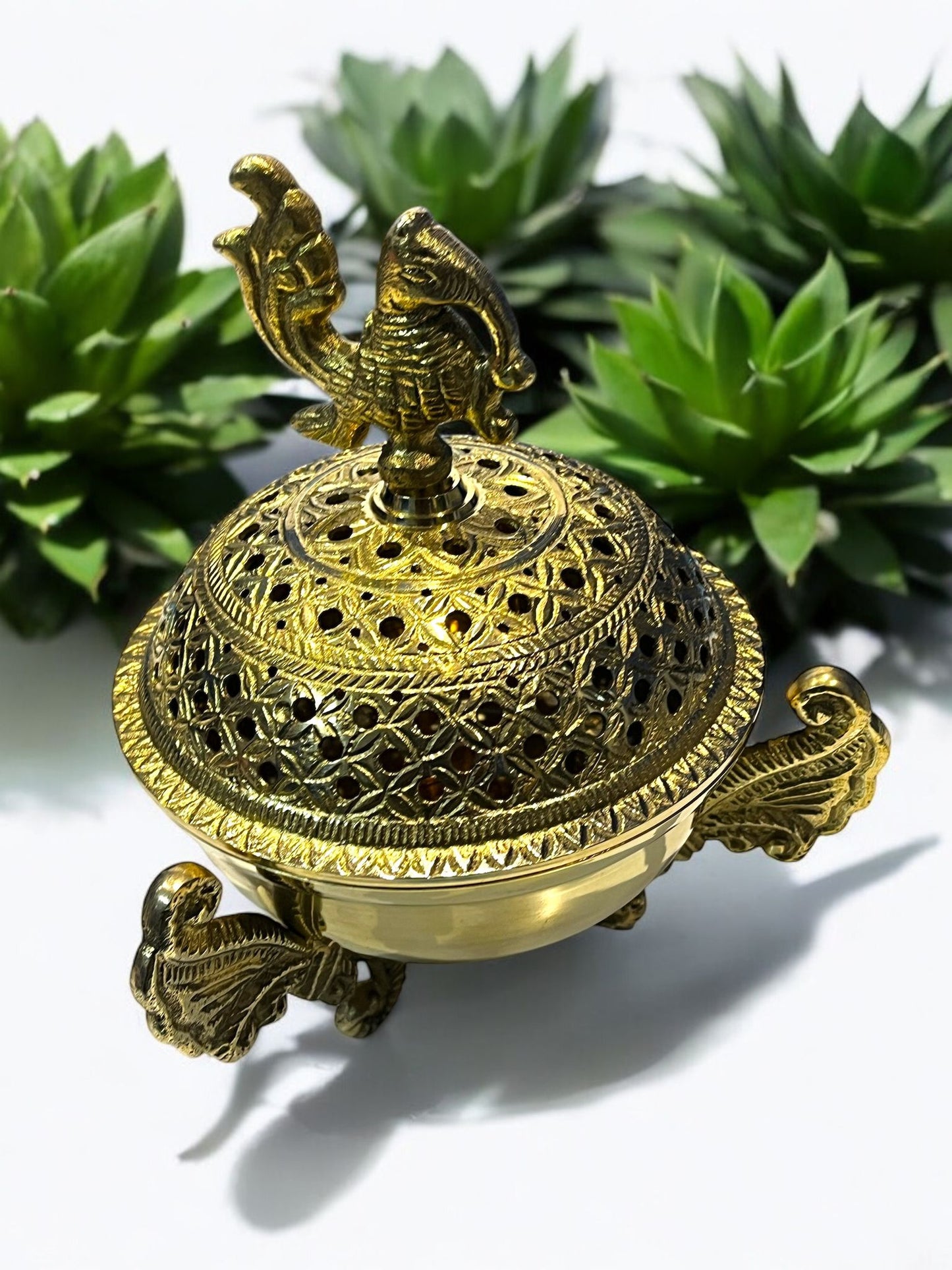 Dhoop lobandan