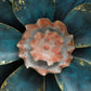 Blue Metal Flower Wall Hanging Art